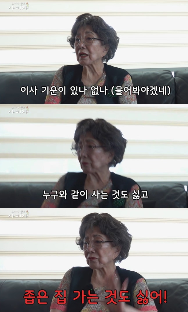 사미자 용산 집 매각 이야기 정리: 86세 배우의 이사 고민과 오미자 말고 사미자 맥락